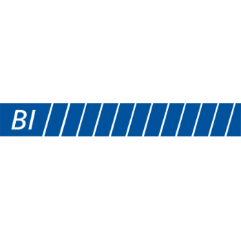 BI Logo