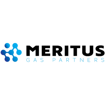 Meritus Logo
